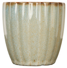 Cosy & Trendy Koffiekopjes / Senseokopjes - Astera Ocean Crème - 240 ml - 4 Stuks