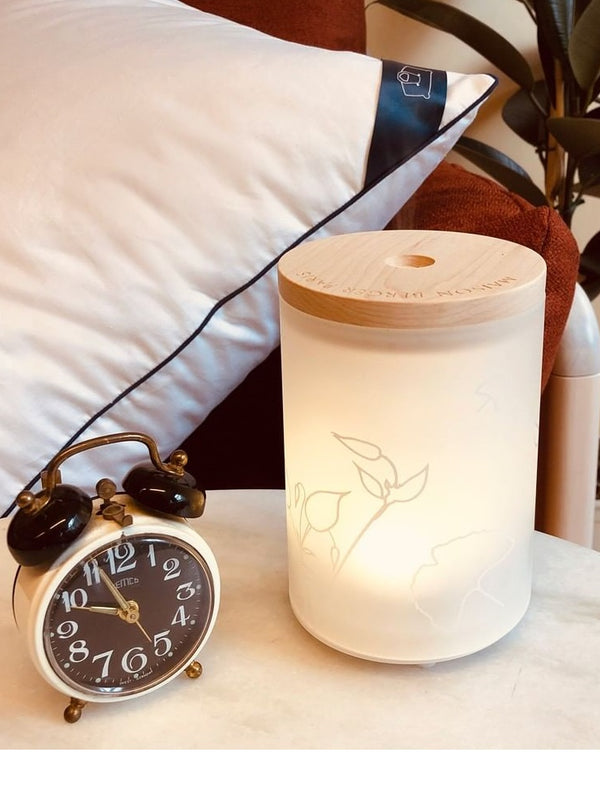 Maison Berger Aroma Diffuser