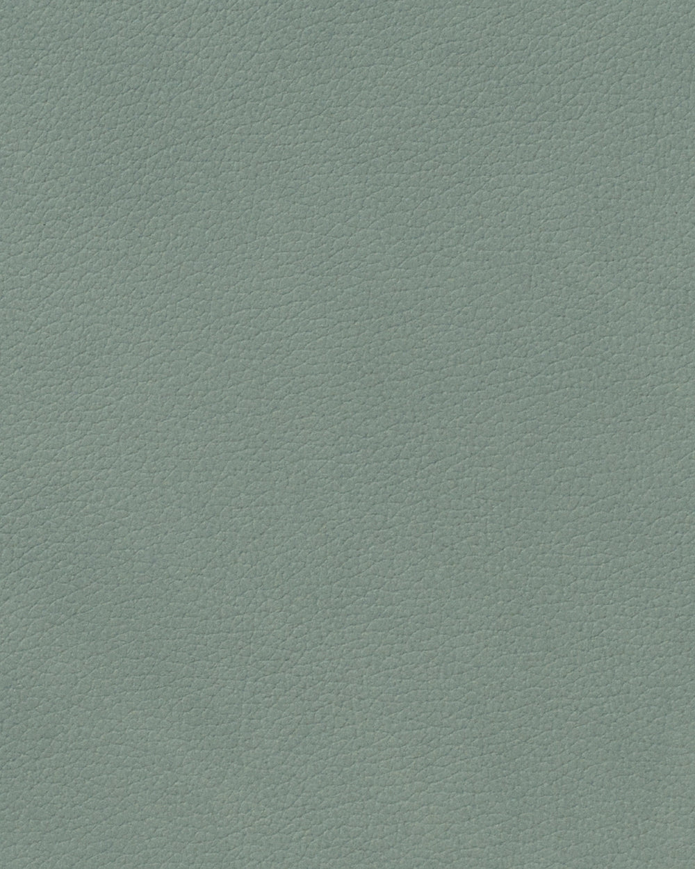 LIND DNA Placemats Nupo - Leer - Pastel Green - Curved - 44 x 37 cm - 2 Stuks