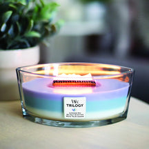 WoodWick Geurkaars Ellipse Trilogy Calming Retreat - 9 cm / 19 cm  - Geurkaars in Glas - Houten Lont