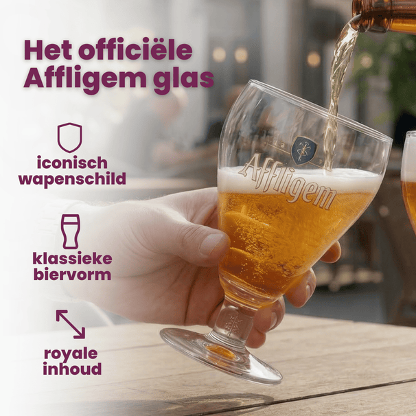 Affligem Bierglazen - 300 ml - 6 stuks