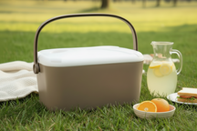 Cookinglife Koelbox Kunststof 20 Liter - Beige Koelbox voor Picknicks en Camping