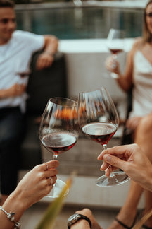 Riedel Rode Wijnglazen Performance - Syrah / Shiraz - 631 ml - 2 stuks