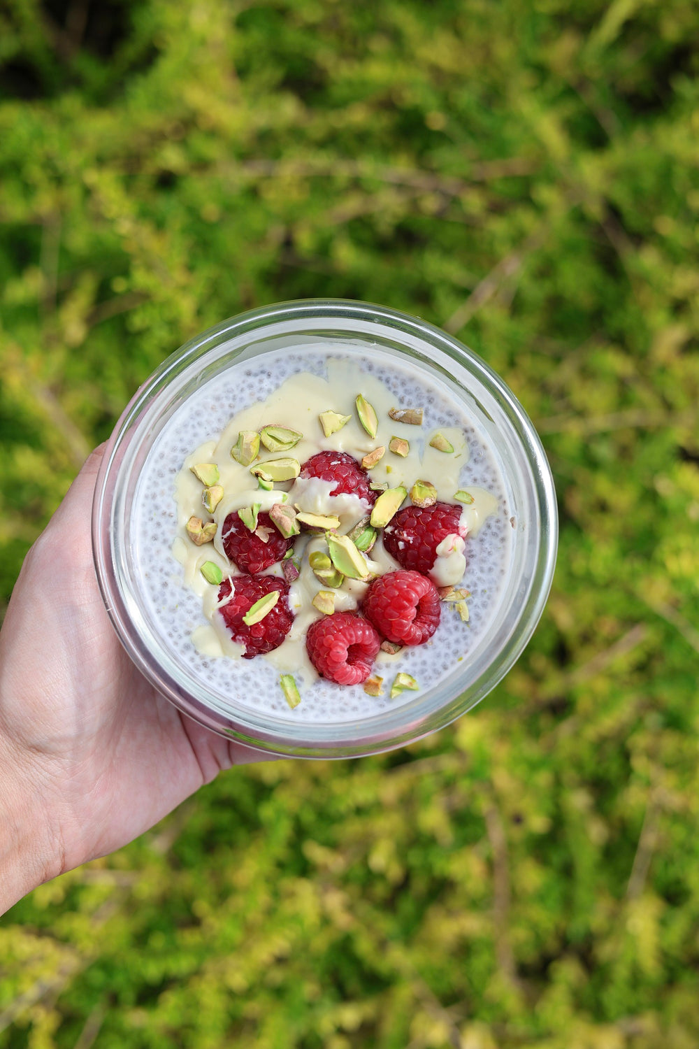 Sareva Glazen Vershoudbakjes - To Go - met Deksels - Ovenschalen - Cook & Fresh - 3 delig