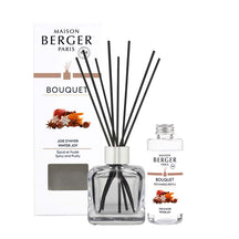 Maison Berger Geurstokjes Glacon Joie d'Hiver - 100 ml