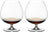 Riedel Cognac Glazen Vinum - 885 ml - 2 stuks