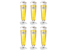 Warsteiner Bierglazen op Voet - 300 ml - 6 stuks