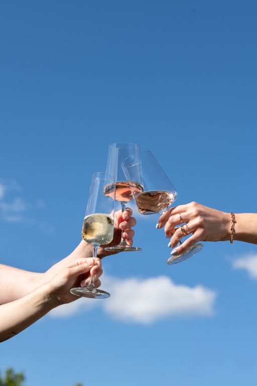 Schott Zwiesel Champagneglazen - Flutes - MioVino - 260 ml - 4 stuks