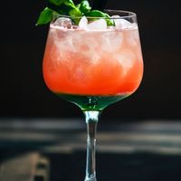 Mocktail tonic grapefruit