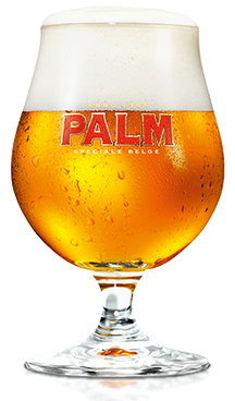 Palm Bierglas - 250 ml